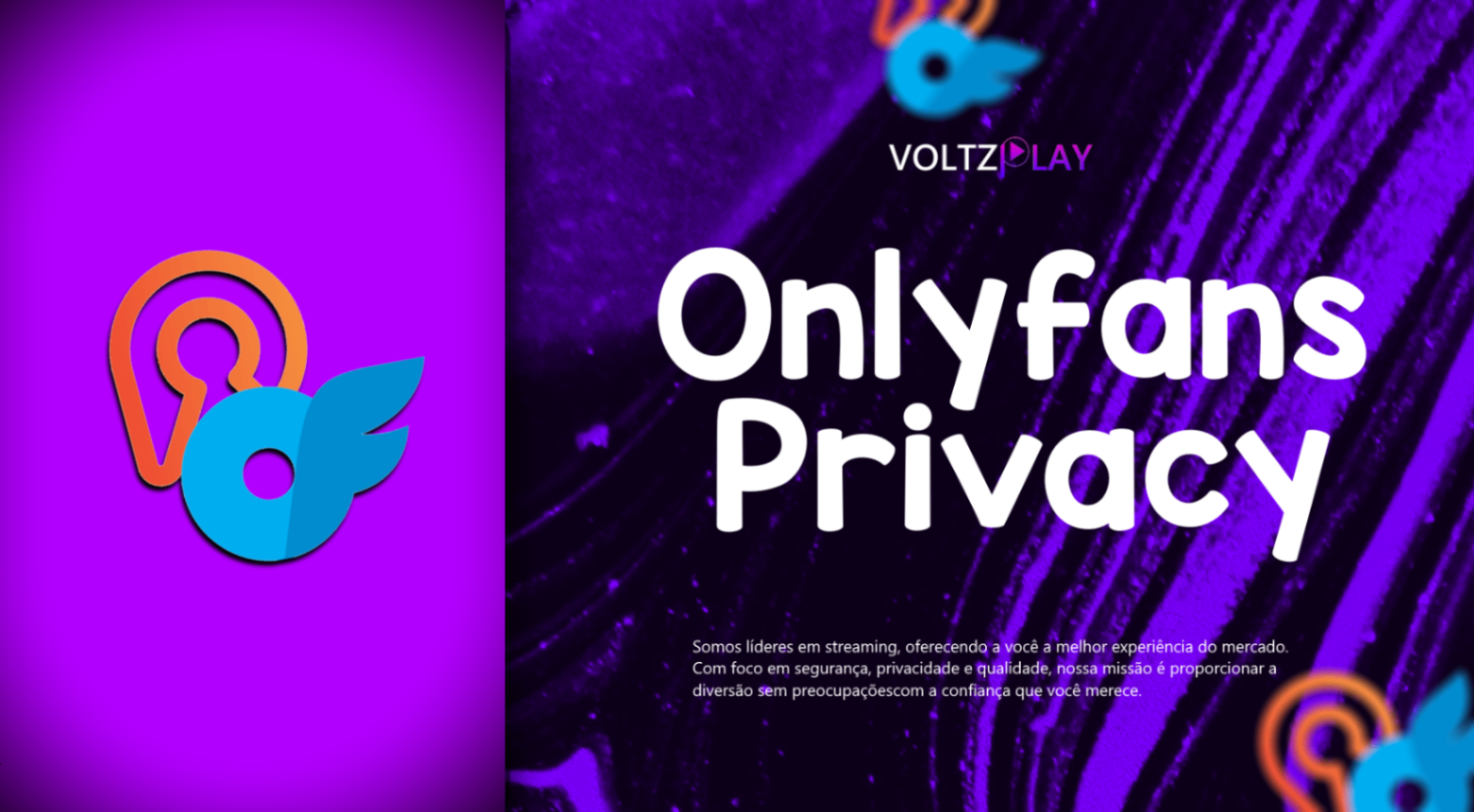 ONLYFANS E PRIVACY - ACESSO A CONTÉUDOS
